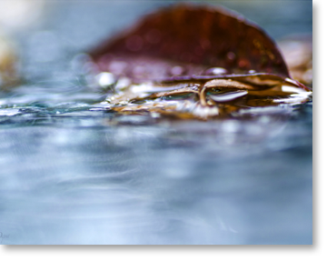 regard-profond